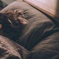 Sleep Hygiene: The Key to a Good Night’s Sleep
