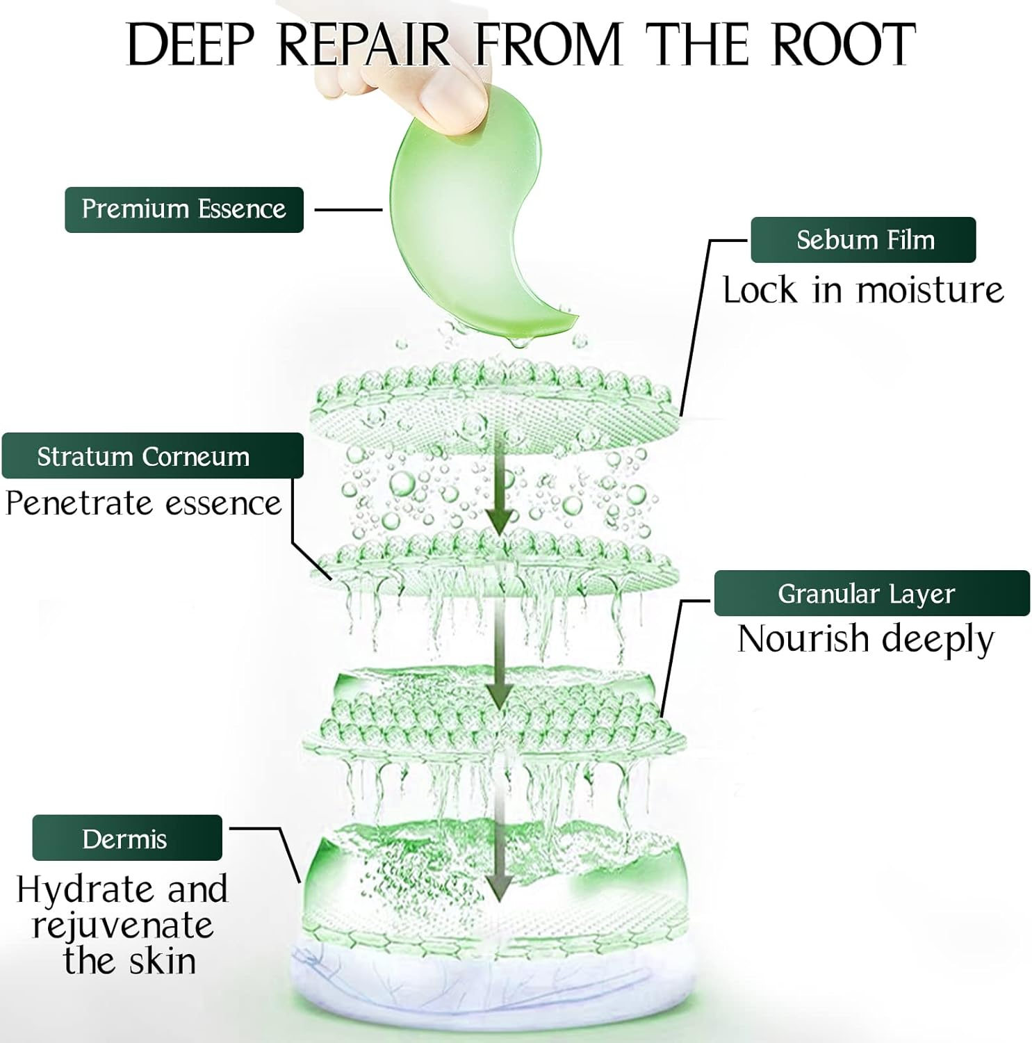 Illustration of skin layers showing essence penetration, moisture lock, and deep nourishment for rejuvenation